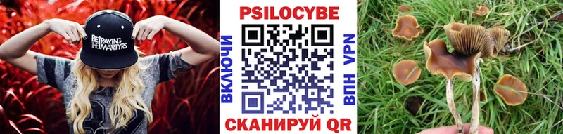 мега сайт  даркнет Telegram  Галлюциногенные грибы GOLDEN TEACHER  Ленск 